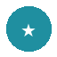 瓦哈纳FC